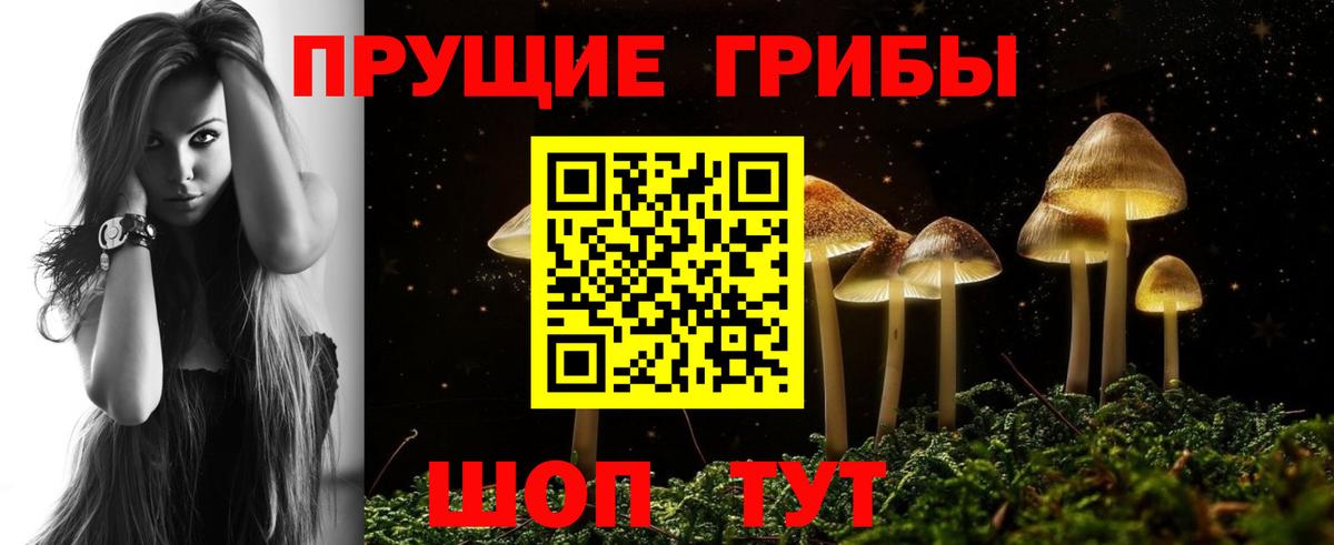 Псилоцибиновые грибы MAGIC MUSHROOMS  Псилоцибиновые грибы Psilocybine cubensis  Вход с VPN  Петровск 